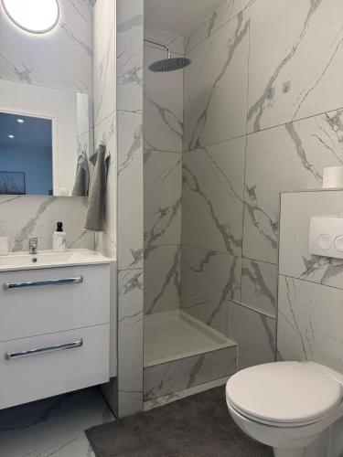 a bathroom with a shower and a toilet and a sink at Appart' Cosy proche Mulhouse in Illzach