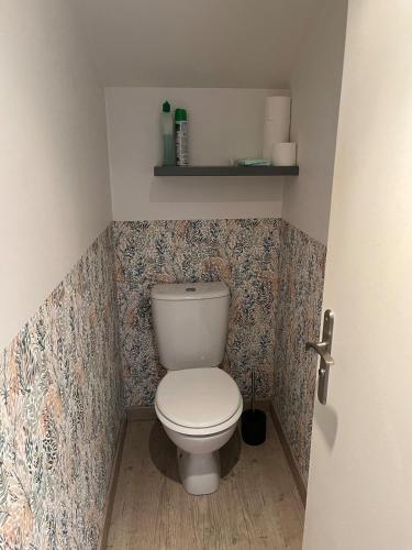 a bathroom with a toilet in a small room at Les Moussaillons, plage à pieds in Jullouville-les-Pins