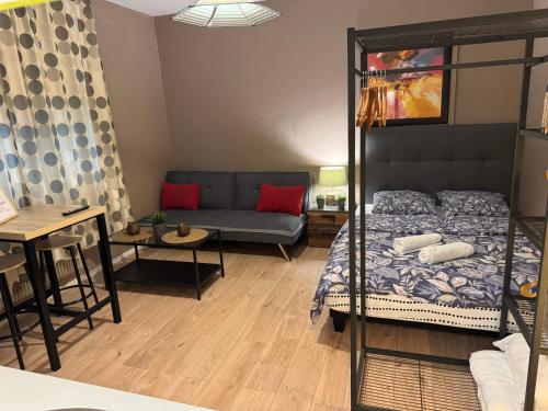 a bedroom with a bunk bed and a couch at Studio Mulhouse in Mulhouse