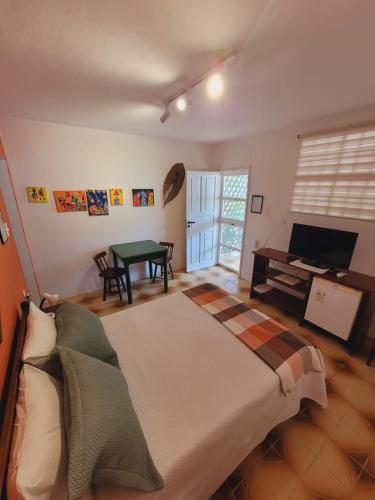 a bedroom with a bed and a desk and a television at Hotel Pousada Cachalote in Coruripe