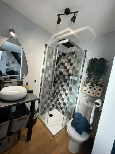 a bathroom with a shower and a toilet and a sink at Appartement proche Zenith & Polyclinique in Nantes
