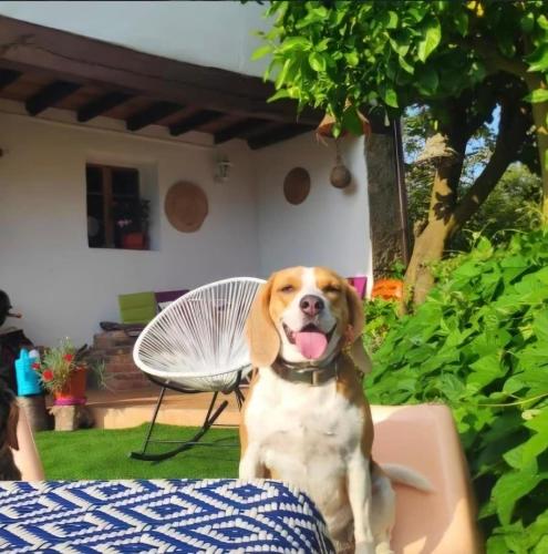 El sueño del Viajero VV-791-AS vivenda vacacional