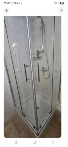 a shower with a glass door with a sink at Apartments Buljan in Kožino