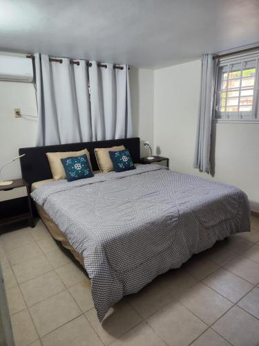 a bedroom with a large bed with blue pillows at Kelly's Vacation Nest to Relax and Reactivate in Willemstad