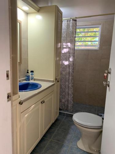 a bathroom with a toilet and a sink and a shower at Kelly's Vacation Nest to Relax and Reactivate in Willemstad