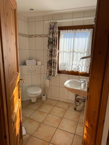 a bathroom with a toilet and a sink at Hotel Maien in Todtmoos in Todtmoos