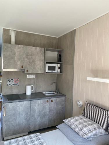a small kitchen with a counter and a microwave at Bagoly in Fertőrákos