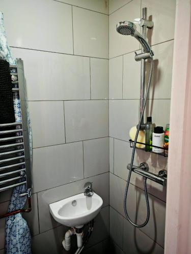 a bathroom with a sink and a shower at Half Pint in Tain