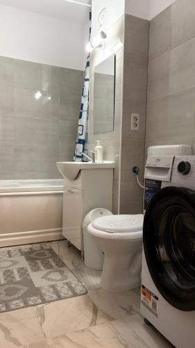 a bathroom with a toilet and a sink and a washing machine at Fantastic Cozy Studio in Sînpetru