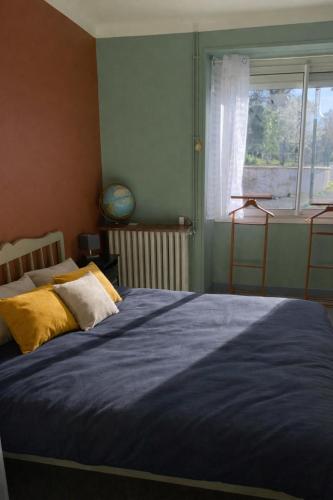 a bedroom with a bed with blue sheets and a window at Chambre cosy avec salle de bain privée et piscine au calme in Saint-Sylvestre-sur-Lot