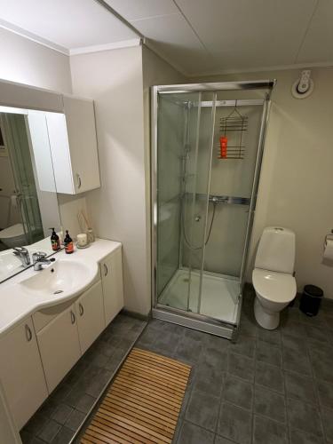 a bathroom with a shower and a sink and a toilet at Koselig hus i Beisfjord in Narvik