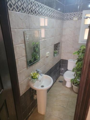 a bathroom with a sink and a toilet at Rest and relaxation in Madinaty