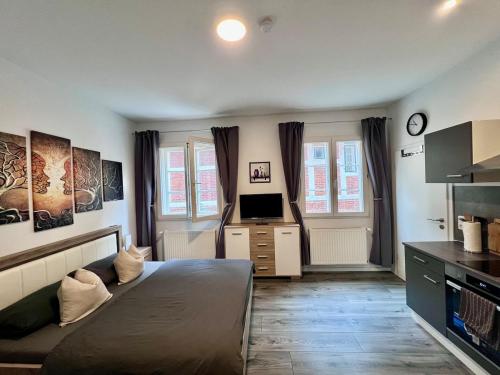 a bedroom with a bed and a television in it at Kleine Einraumwohnung am Fleth in Jork