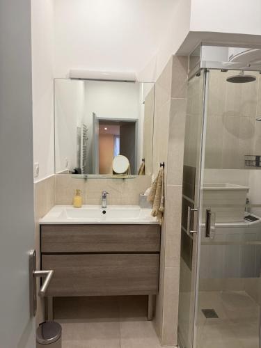 a bathroom with a sink and a shower at Cabanon des calanques aux Goudes in Marseille