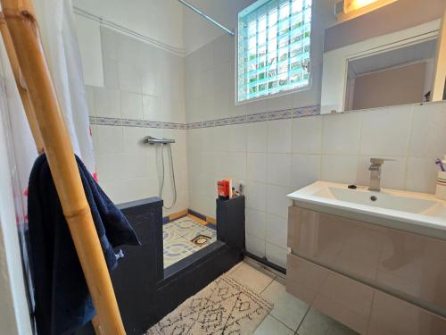 a bathroom with a sink and a shower and a sink at Maison Désirée in Sainte-Anne