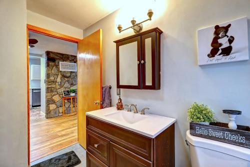 a bathroom with a sink and a toilet at 6BR Luxury Mountain Retreat - Hot Tub, Game Room, Lake, Beach, Karaoke, Bar, Poconos in Albrightsville
