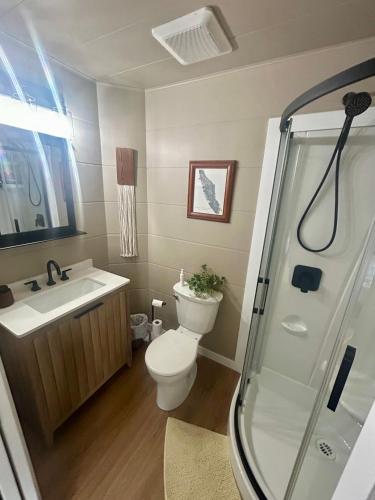 a bathroom with a toilet and a sink and a shower at Maple Woods B&B in Honeymoon Bay