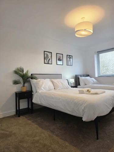 a bedroom with two beds and a potted plant at Charming three bedroom house in Durham in Brandon