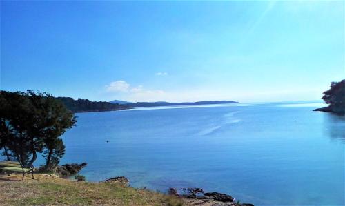 Adriatic Coves-Sea View Balcony Apartment