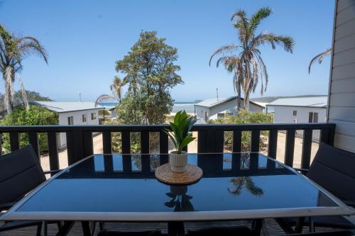 a table with a plant on a balcony with palm trees at Tuross Beach Cabins & Campsites in Tuross Heads