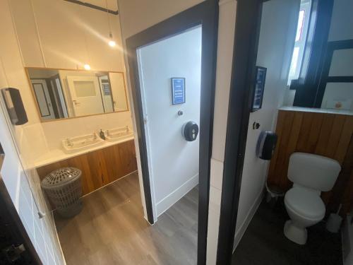 a bathroom with a toilet and a sink and a mirror at The Old Railway Hotel Lumsden in Lumsden