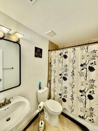 a bathroom with a toilet and a sink and a shower curtain at Stunning Home in Plano! in Plano