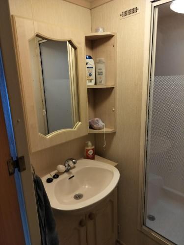 a bathroom with a sink and a shower at Skegness Ingoldmells near Skegness raceway holiday let by Sophia in Ingoldmells