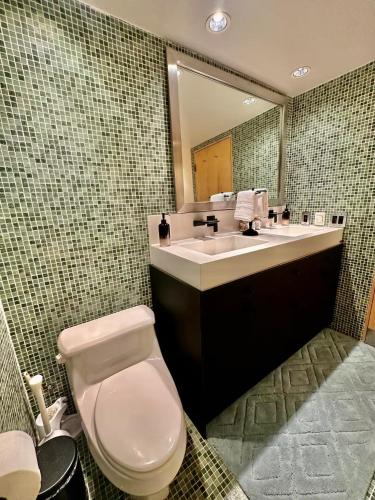 a bathroom with a toilet and a sink and a mirror at Massive Downtown Seattle Condo - Free Parking! in Seattle
