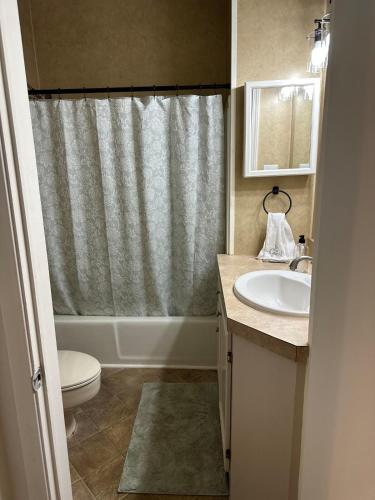 a bathroom with a sink and a toilet and a shower at The Cleveland Cottage in Brookhaven