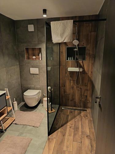 a bathroom with a toilet and a glass shower at Vrh house in Ravna Gora