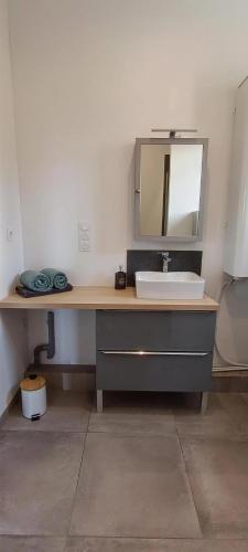 a bathroom with a sink and a mirror at Logement 1 - proche Le Mans in Aigné