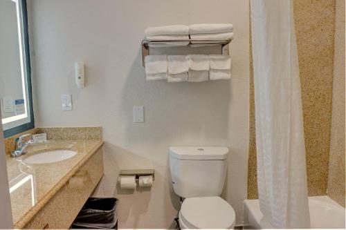 a bathroom with a toilet and a sink and a shower at Quality Inn & Suites Roswell North in Roswell