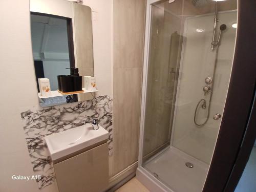 a bathroom with a shower and a sink and a shower at studio coralie in Saint-Flour