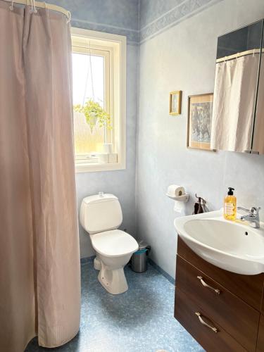 a bathroom with a toilet and a sink at Sveas B&B Ullared in Ullared