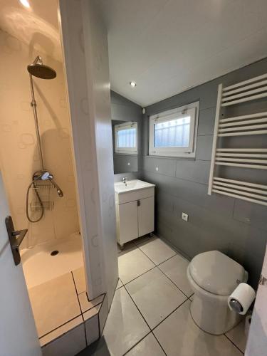 a bathroom with a toilet and a sink and a shower at Maisonnette chaleureuse, paisible & proche tram in Blanquefort