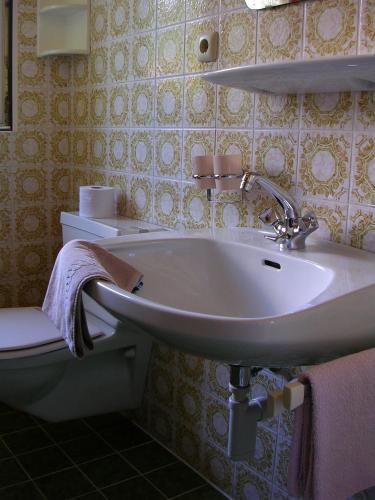 a bathroom with a sink and a toilet at Schattwalder Hof in Schattwald