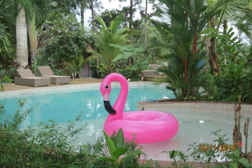 Bazén v ubytování Monkey Lodge Panama nebo v jeho okolí