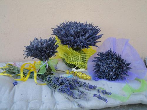 a bunch of purple flowers and corn on a blanket at Agriturismo Monterosello in Città di Castello