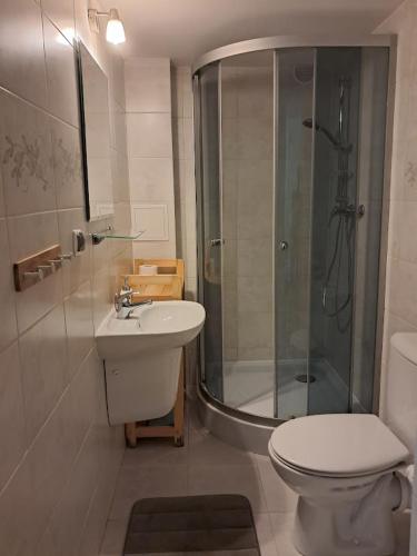 a bathroom with a shower and a toilet and a sink at Dom w Kwiatach in Ojców