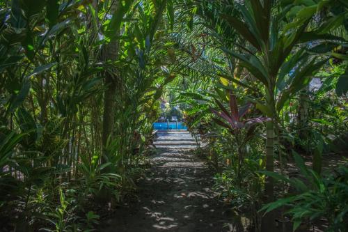 Zahrada ubytování Atlantida Lodge Cahuita