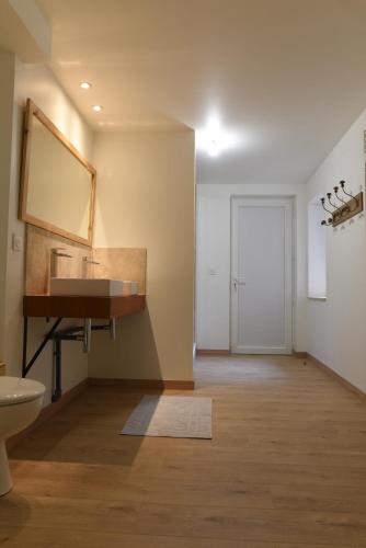 a bathroom with a sink and a mirror on the wall at le clos de la monne in Saint-Amant-Tallende