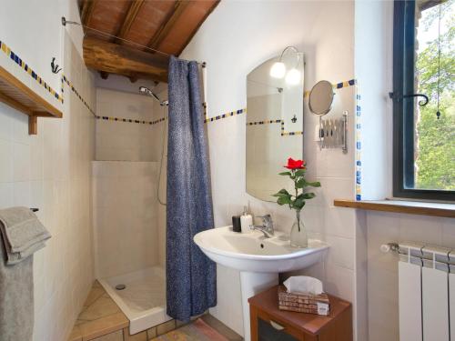 a bathroom with a sink and a shower at Novelleto in Monteriggioni