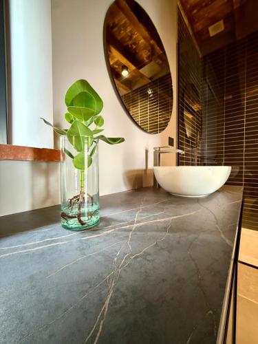 a vase with a plant on a counter in a bathroom at Dimora Rosaspina Suite Eden e Suite Platinum in Adro