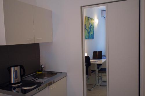 A kitchen or kitchenette at Apartments Petrova170