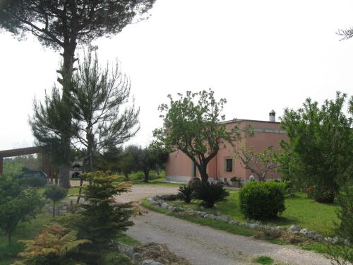 a garden with trees and a house in the background at Villa Rita Bed & Breakfast in Campi Salentina