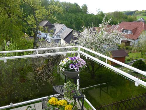 a balcony with a bunch of flowers on a fence at Ferienwohnung Dommes in Fuhrbach