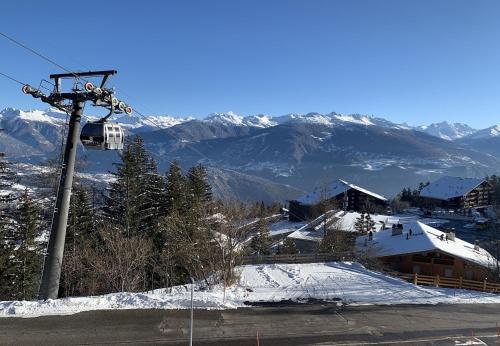 Asters 24 pres de la telecabine a Anzere avec vue sur les Alpes