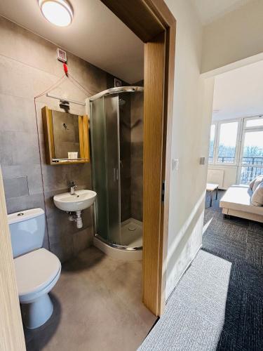 a bathroom with a shower and a toilet and a sink at Sanatorium Rosomak in Ustroń