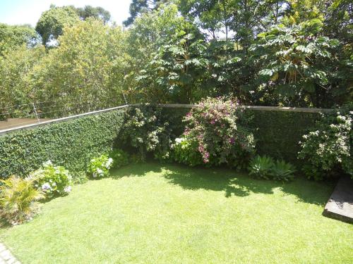 a garden with a hedge and some plants and flowers at Hospedagem Three Little Birds in Curitiba
