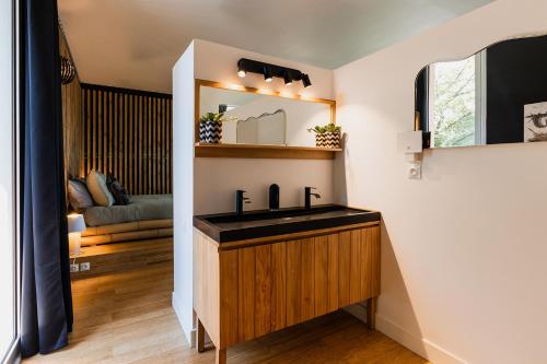 a bathroom with a sink and a mirror at L'orée du bois aux portes de Montauban in Albias